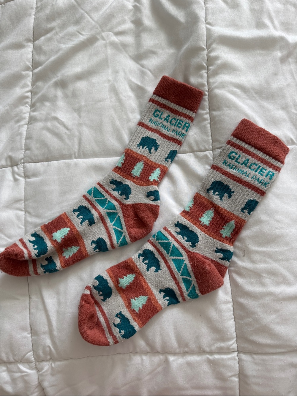Glacier National Park Bear & Tree Pattern Crew Socks - Rust, Teal, Cream